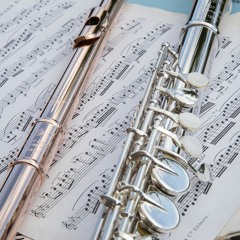 Beginner Flute Diary