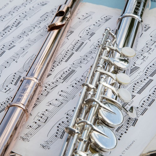 Beginner Flute Diary