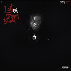 100Days 100 Nights