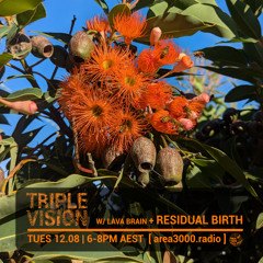 'Triple Vision' 12.08.25 w Lava Brain + Residual Birth [area3000.radio]