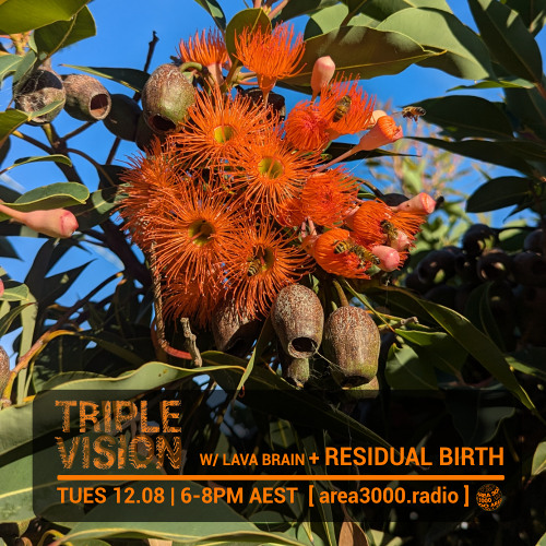 'Triple Vision' 12.08.25 w Lava Brain + Residual Birth [area3000.radio]