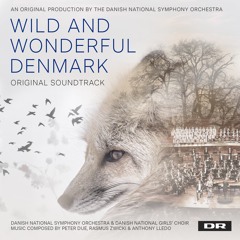 The Heath - Suite № 2 from Wild and Wonderful Denmark - by Rasmus Zwicki