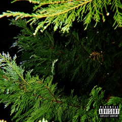 New Moon (Prod. $LIM GHOSTE)