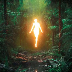 ecstatic journey