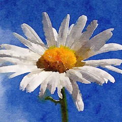 Laghunyāsaḥ | Mantra para el bienestar integral