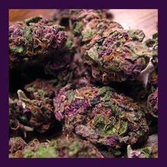Green & Purple