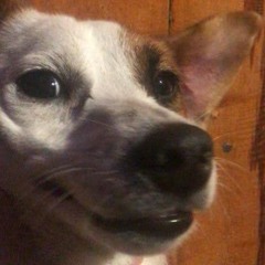 movie - tom misch (instrumental)