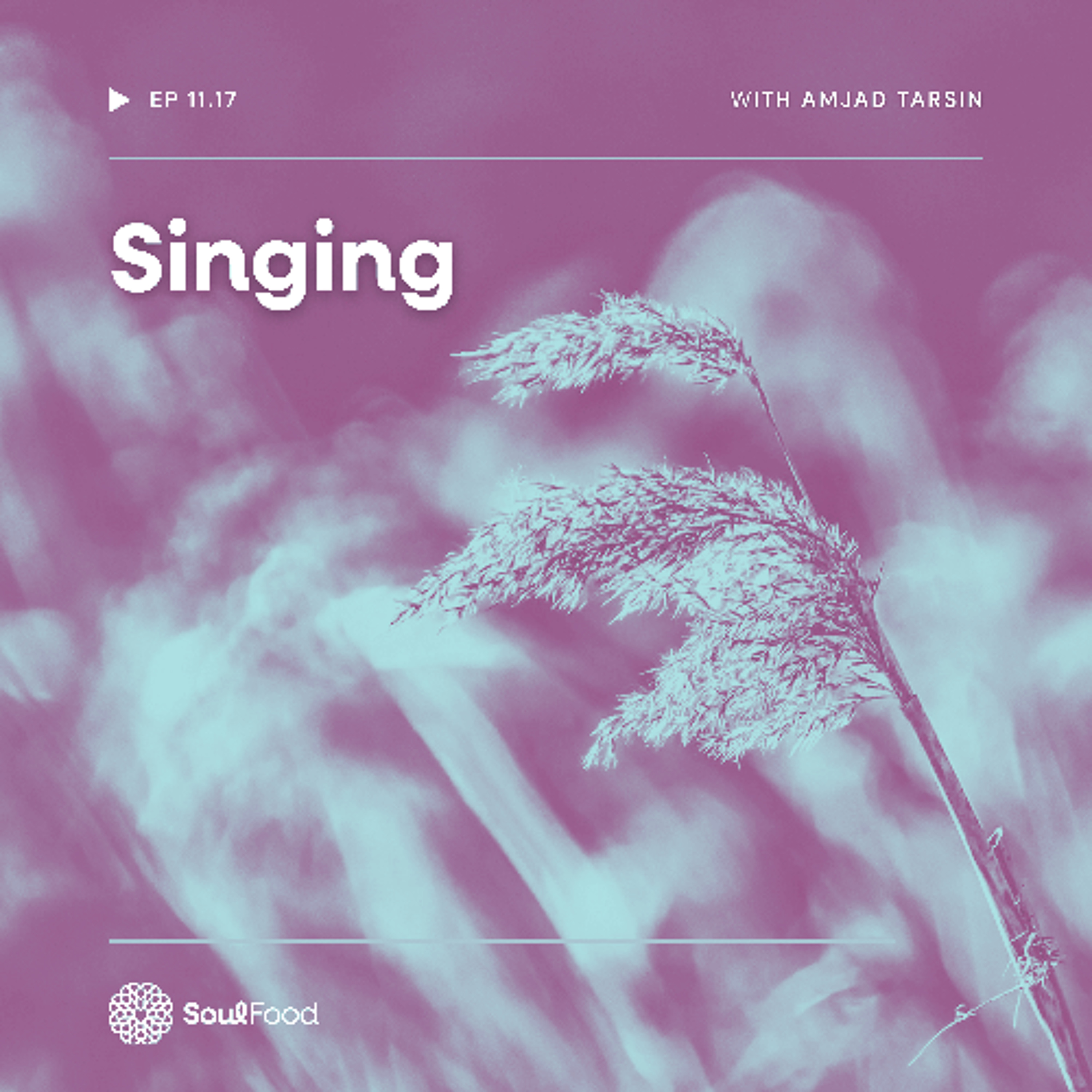 Episode 11.17 - Singing