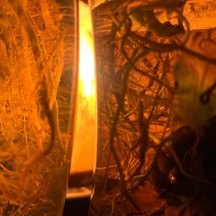 KNIFE MIX (9)