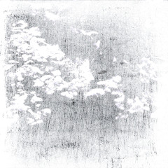 Max von der Goltz - From a Distance
