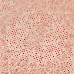 Korg Volca Jam 11/24