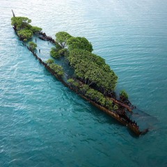 Cruisin (Updated idea)