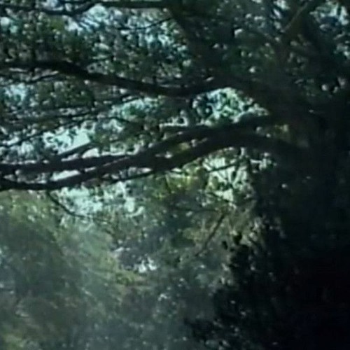 ambient