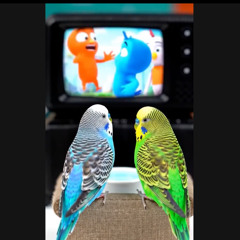 Watching TV