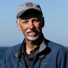 History of Whales, Dolphins, & Porposis in SF Bay Bill Keener Marine Mammal Center Sausalito