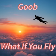 What If You Fly