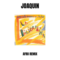 Juan Luis Guerra - La Bilirrubina (Joaquin Afro House Remix)