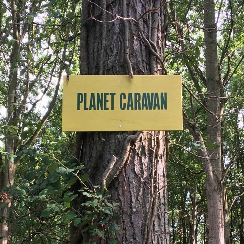 Stream Tracks Bar Listen to Watchings Trees 2022 Caravan