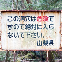 Aokigahara