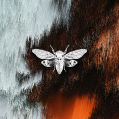 Acrobatik & Ed Lopes - Tensor
