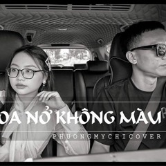 HOA NỞ KHÔNG MÀU - Hoài Lâm | Phương Mỹ Chi Cover Piano
