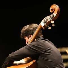 MATIZ X for solo double-bass (2020) Pedro Gadelha