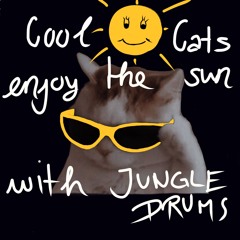 TRIXI - COOL CATS ENJOY THE SUN WITH JUNGLE DRUMS