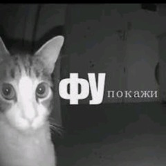 the wolf + канет вниз