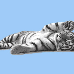 Servant Leadership unter der Lupe