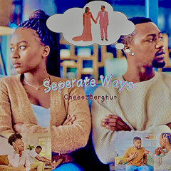 Seperate Ways (prod. frodo)