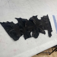 60mgisnotenoughineedmoreandmore