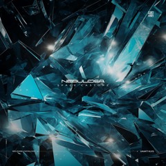 Space Castorz - Black Storm
