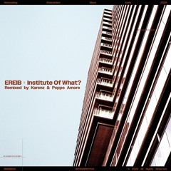 PREMIERE : EREIB - Open Jail [ISDIGI005]
