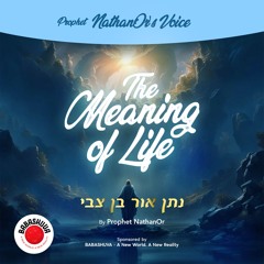 Podcasts From Heaven | 'Prophet NathanOr's Voice' - The Meaning of Life {S5 E2}