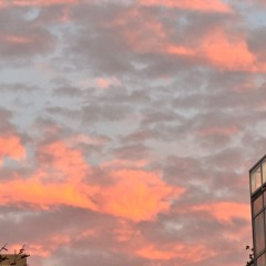 A chest full of sparrows.mp3