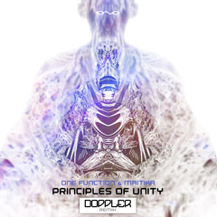 One Function, Maitika - Principles of Unity (Doppler Remix)