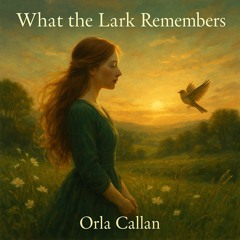 What the Lark Remembers