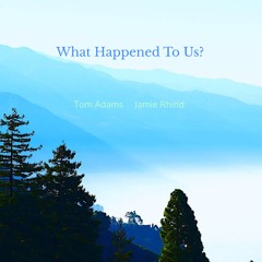 What Happened To Us?  - Tom Adams / Jamie Rhind