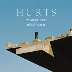 [FREE DOWNLOAD] Hurts - Wonderful Life (Gindi Remix)