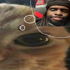 CHIEF KEEF I DONT LIKE BASS BOOSTED SPED UP