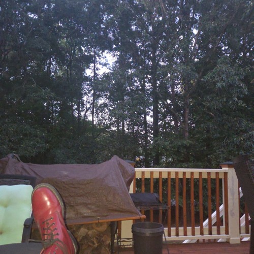 tortoise - king krule