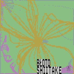 Błoto - Shiitake