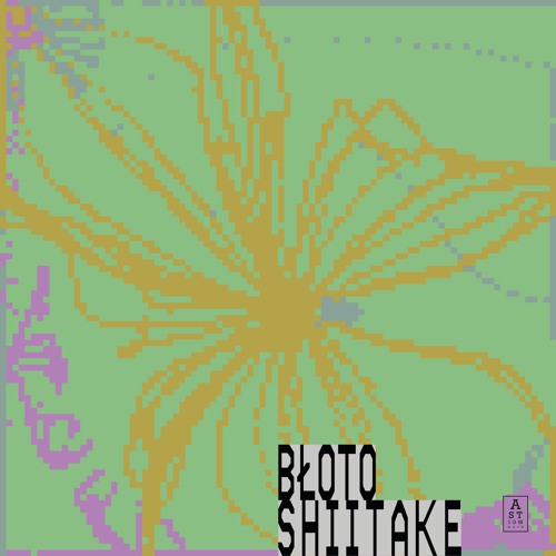 Błoto - Shiitake
