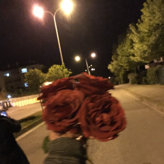 숙녀에게
