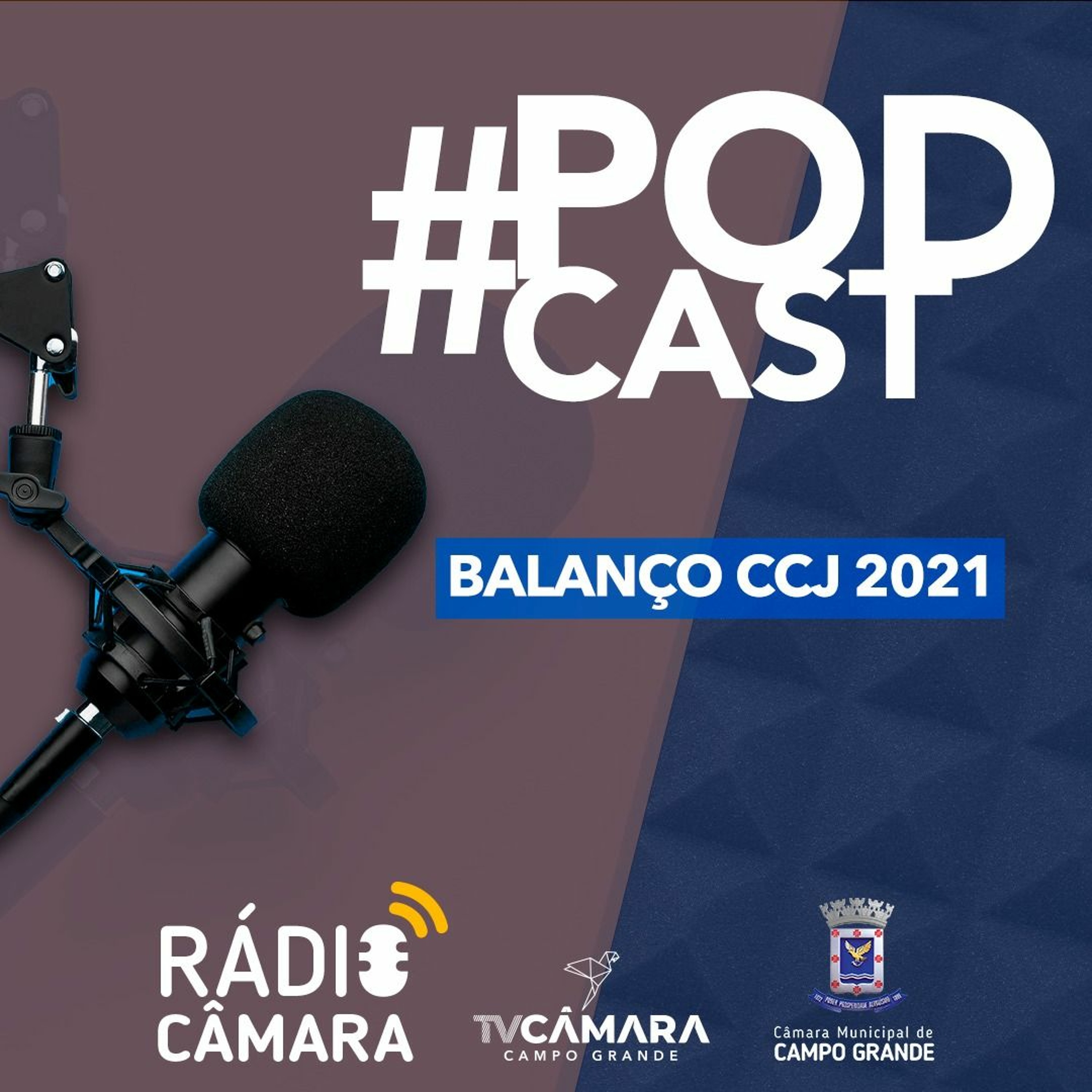 Vereador Otávio Trad faz um balanço da CCJ em 2021 episode artwork