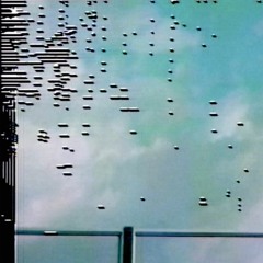 Fly Pan Am • "Mirror Cracks Seeking Interiority"