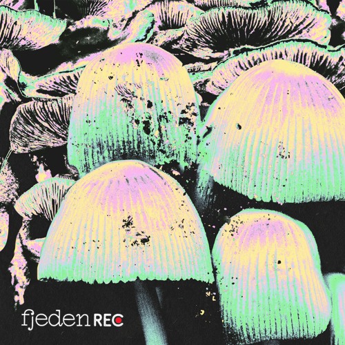 fjeden rec: Two Day Old Confetti at txpx 2024