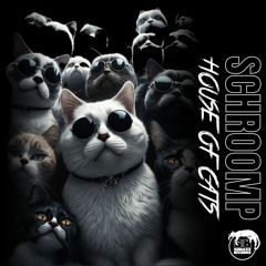Schroomp - HOUSE OF CATS (Original Mix)