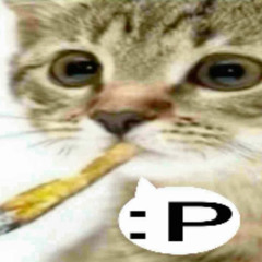 we dont give no fuck (beandip)