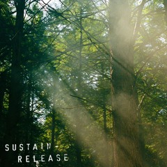 Sybil @ Sustain Release Year 11 {ambient set}